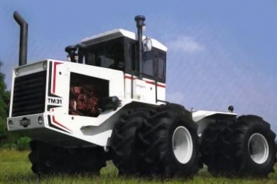 TM31
