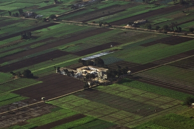 Produção agrícola cresce em MS e chega ao valor recorde de R$ 19,2 bilhõe