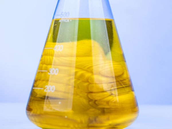 de envatoelements