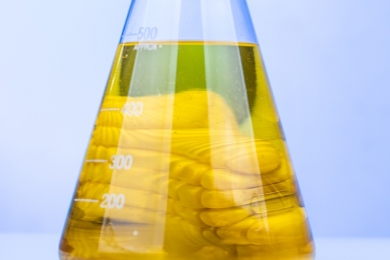 Etanol anidro aumenta 0,71% e hidratado sobe 0,15% nas usinas paulistas na semana