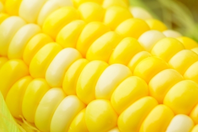China quer milho do Brasil, mas preço irá para demanda das carnes ao etanol