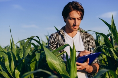 Em ano atípico, balança do agronegócio bate todos os recordes