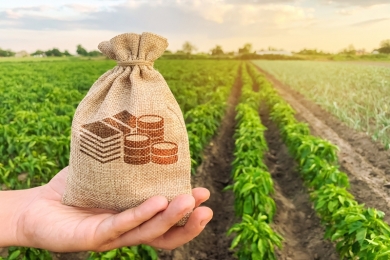 Títulos do Agronegócio apresentam bom desempenho e crescem em maio