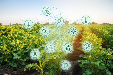 Superávit da balança do agro paulista cresce 9,4% no 1º semestre