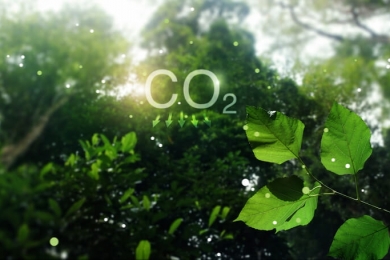Entenda o que são e como funcionam os créditos de carbono