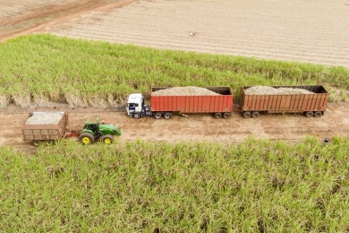 Recuperação da moagem avança e safra 24/25 promete crescimento no Nordeste, aponta consultor