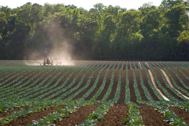 Exportações do Agronegócio Brasileiro Batem Recordes em Março de 2025