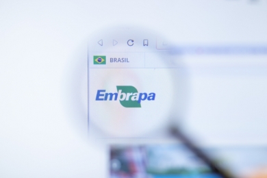 Brasileira que revolucionou a produção de soja com bactérias vence o Prêmio Mundial da Alimentação 2025